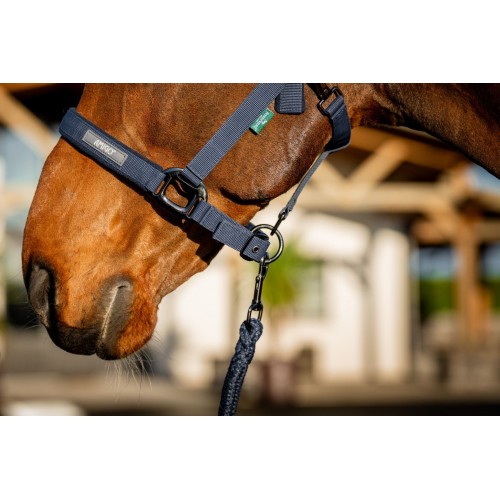Amigo Headcollar & Leadrope Set