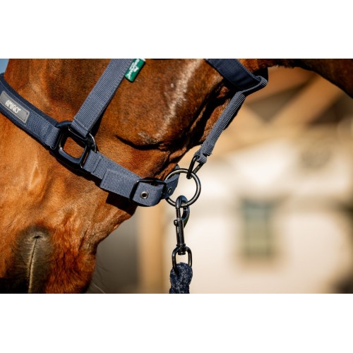 Amigo Headcollar & Leadrope Set