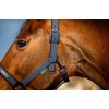 Amigo Headcollar & Leadrope Set