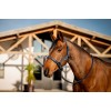 Amigo Headcollar & Leadrope Set