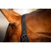 Amigo Headcollar & Leadrope Set