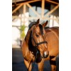 Amigo Headcollar & Leadrope Set