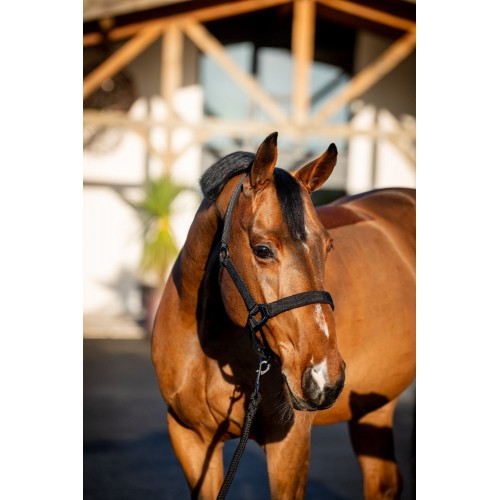 Amigo Headcollar & Leadrope Set