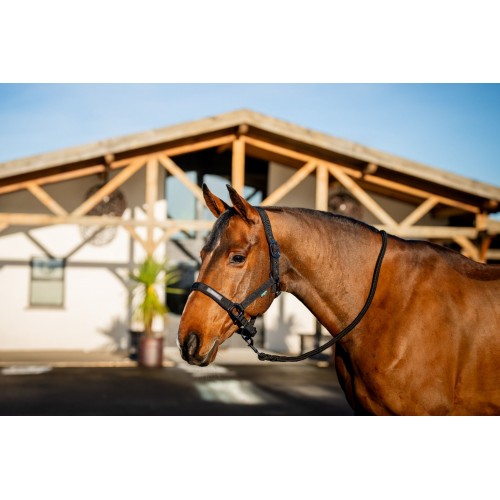 Amigo Headcollar & Leadrope Set