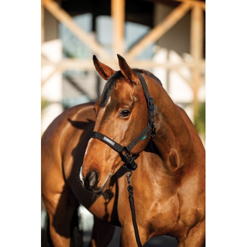 Amigo Headcollar & Leadrope Set