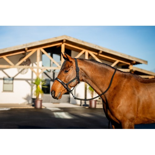 Amigo Headcollar & Leadrope Set