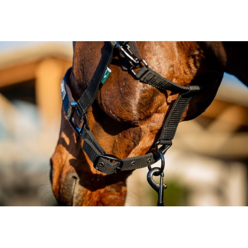 Amigo Headcollar & Leadrope Set