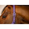 Amigo Headcollar & Leadrope Set