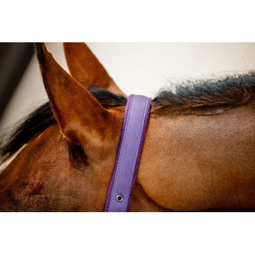 Amigo Headcollar & Leadrope Set