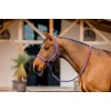 Amigo Headcollar & Leadrope Set