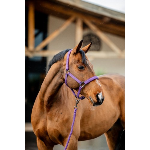 Amigo Headcollar & Leadrope Set