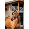 Amigo Headcollar & Leadrope Set