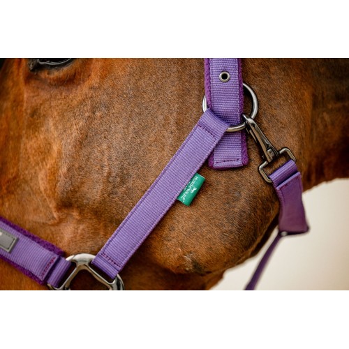 Amigo Headcollar & Leadrope Set