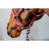 Amigo Headcollar & Leadrope Set