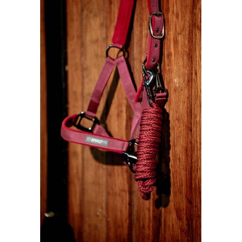 Amigo Headcollar & Leadrope Set