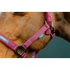 Amigo Headcollar & Leadrope Set