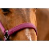 Amigo Headcollar & Leadrope Set