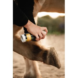HELTIE horse Skin Spray