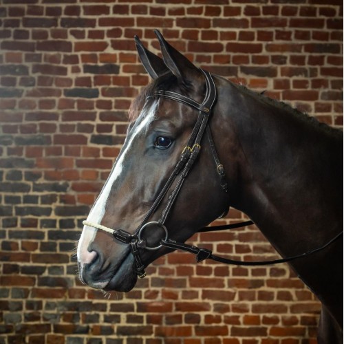 Dyon Bridle with Rope Noseband D Collection