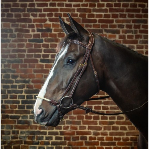 Dyon Bridle with Rope Noseband D Collection