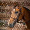 Dyon Bridle rope noseband leather