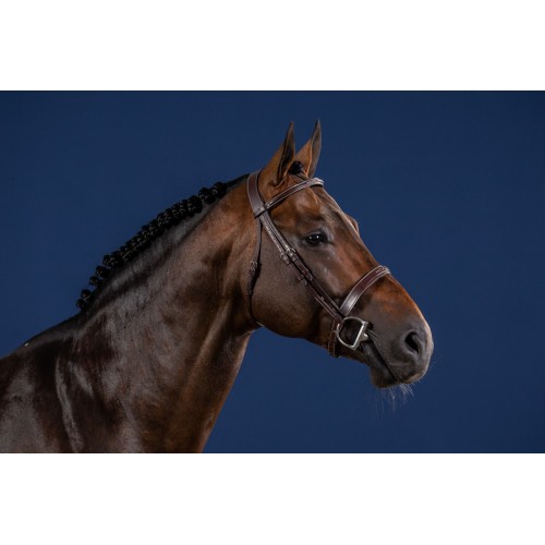 Dyon Hunter Bridle with French Noseband US Collection