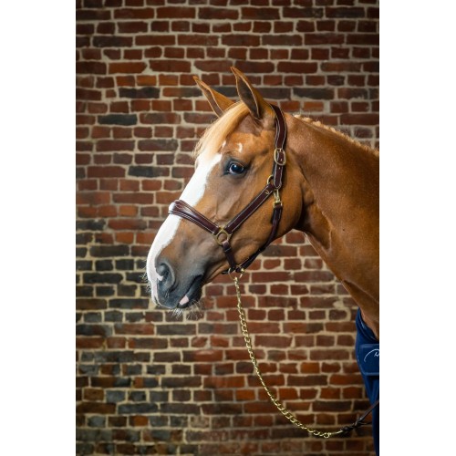 Dyon Leather Halter