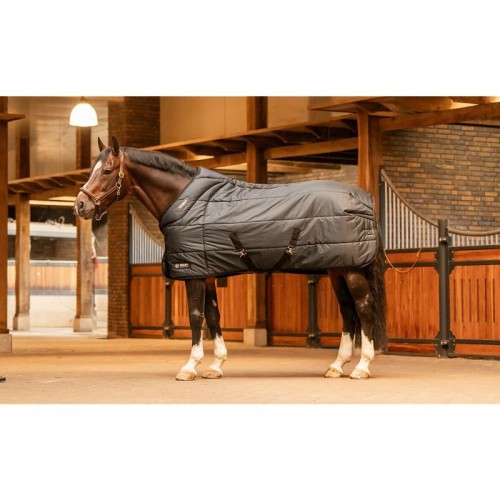 Trust Tetris Stable Blanket 200g