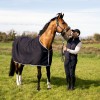 Bucas Emerald Wool Rug