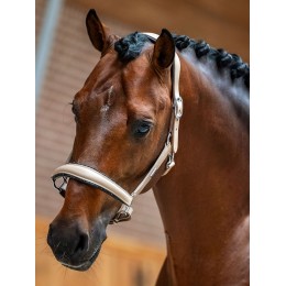 Equestrian Stockholm Glimmer Anatomical кожаный недоуздок Sand