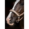 Equestrian Stockholm Glimmer Anatomical Leather Halter Sand