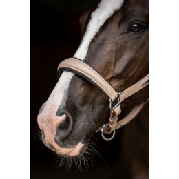 Equestrian Stockholm Glimmer Anatomical кожаный недоуздок Sand