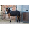 Eskadron Walker Rug Delta