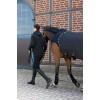 Eskadron Walker Rug Delta