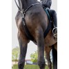 Eskadron Neoprene Martingale Cover