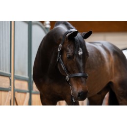 Eskadron Stallion кожаный недоуздок