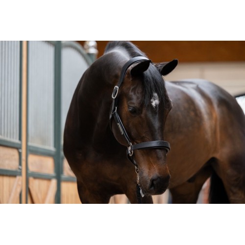 Eskadron Stallion Leather Halter