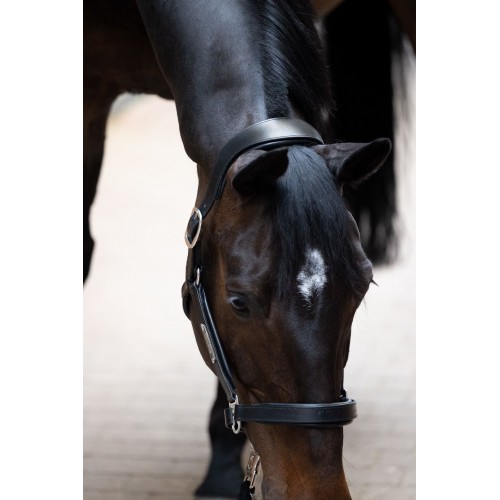 Eskadron Stallion Leather Halter