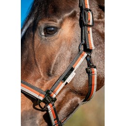 Eskadron SS26 Platinum недоуздок Light Double Pin