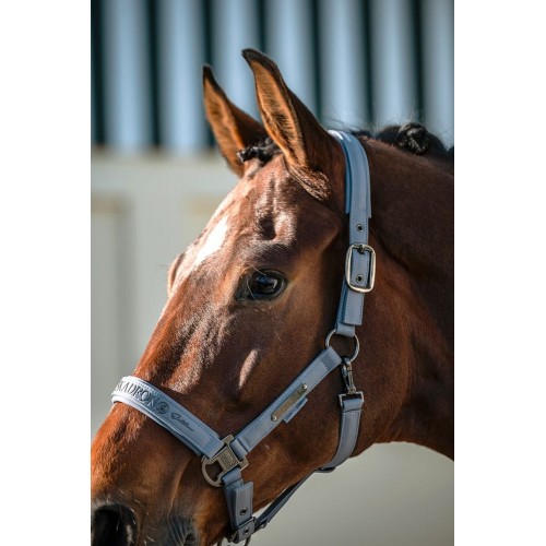 Eskadron SS26 Platinum Halter Sparkle Double Pin