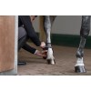 Eskadron Fetlock Boots Air-Flex Sport