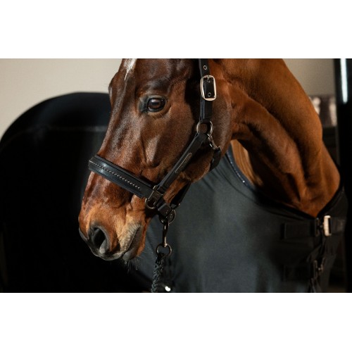 Eskadron SS25 Platinum Halter Softshell Pearls Double Pin