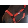Eskadron FW25 Dynamic Sparkle Double Pin Halter