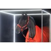 Eskadron FW25 Dynamic Sparkle Double Pin Halter