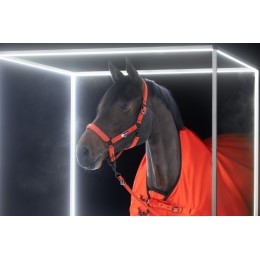 Eskadron FW25 Dynamic Sparkle Double Pin недоуздок