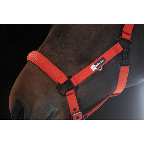 Eskadron FW25 Dynamic Sparkle Double Pin Halter