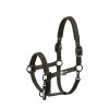 Eskadron FW25 Dynamic Double Pin Headcollar