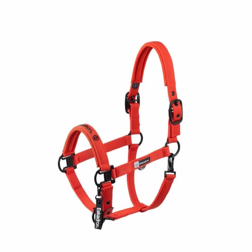 Eskadron FW25 Dynamic Double Pin Headcollar