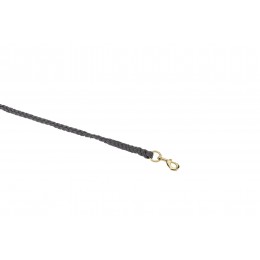 Eskadron чомбур Carabiner Hook Gold
