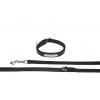 Eskadron Leather Dog Collar and Leash